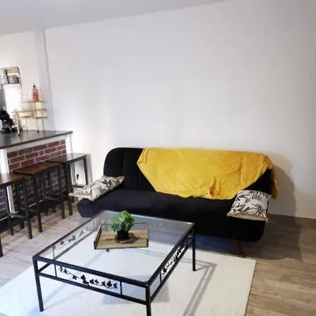 Cosy Au Coeur De La Champagne Apartment *